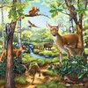 Ravensburger Dėlionė 3x49 vnt. - Gyvūnai