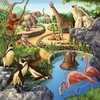 Ravensburger Dėlionė 3x49 vnt. - Gyvūnai