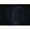 Ravensburger Dėlionė 881 vnt. - Krypt - Universe Glow