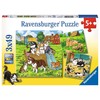 Ravensburger Dėlionė 3x49 vnt. - Mieli šunys ir katės