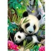 Ravensburger Dėlionė 300 vnt. - Pandos