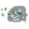 Ravensburger GraviTrax POWER startinis rinkinys „Launch“, nuo 8 m.