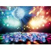 REVELL RC kaskadininko automobilis Disco, 244369090