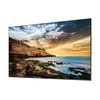 Monitorius SAMSUNG 65" QE65T UHD 300NITS 16/7