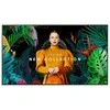 Monitorius SAMSUNG 65" QM65C UHD 500 NITS 24/7 SOC WIFI