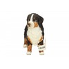 Schleich figūrėlė Berno zenenhundų patelė