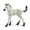 Schleich figūrėlė Knabstrupper veislės kumeliukas