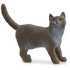Schleich figūrėlė Britų trumpaplaukė katė