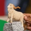 SCHLEICH figūrėlė Angoros ožka