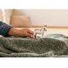 Schleich figūrėlė Amerikos dėmėtasis asilas