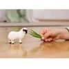 SCHLEICH FARM WORLD figūrėlė - Juodanosė avis
