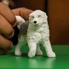 Schleich figūrėlė Bobteilas