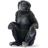 Schleich figūrėlė Mažoji šimpanzė