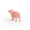 Schleich figūrėlė Kiaulė