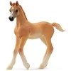 Schleich figūrėlė Arabų veislės kumeliukas