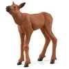 SCHLEICH „Wild Life“ Rinkinys - Briedžio patelė su briedžiuku
