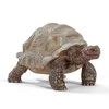 Schleich figūrėlė Vėžlys