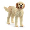 SCHLEICH „Naminiai gyvūnai“ figūrėlė Goldendoodle