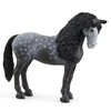 Schleich figūrėlė „Pura Raza Española“ kumelė