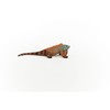 Schleich figūrėlė Iguana