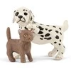 SCHLEICH FARM WORLD Veterinarijos klinika su naminiais gyvūnais