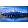Monitorius Sharp NEC Ekran MultiSync P556