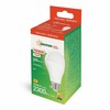 Spectrum LED lemputė E27 A65 20W 3000K 2300LM