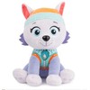 Spin Master Talismanas patruliuoja pliušiniai everesto herojai 23 cm
