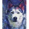 Symag Paveikslėlis Tapyba skaičių - Husky Look
