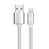 Tb Print TBl Lightning-USB 1.5m sidabrinė MFi