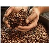 Kavos pupelės Tchibo Barista Caffè Crema, 1kg