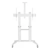 Techly TV laikiklis Mobilus TV laikiklis 70-120" iki 140kg reguliuojamas su 2 lentynomis