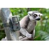 Foto medžioklės kamera Technaxx Mini Nature Wild Cam TX-117