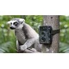 Foto medžioklės kamera Technaxx Nature Wild Cam TX-69