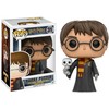 FUNKO POP! Vinilinė figūrėlė: Haris Poteris su pelėda