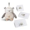 TOMMEE TIPPEE TTP491646 Pliušinė pelėda