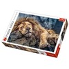 Trefl Dėlionė 1000 vnt. - Liūtas