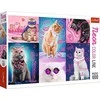 Trefl Dėlionė 1000 vnt. - Super katės