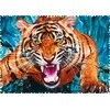 Trefl Dėlionė 600 vnt. - Tigras
