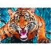 Trefl Dėlionė 600 vnt. - Tigras