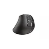 Voxx Belaidė įkraunama ergonominė pelė 23731