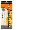 Daler Rowney Akrilinių dažų rinkinys Simply 12x12ml