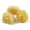 Natūralių jūros kempinėlių rinkinys 3 vnt, dydis 6-8 cm, smulkios