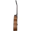 Akustinė gitara Cascha Performer Series CGA300, natūrali