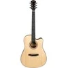 Akustinė gitara Cascha Performer Series CGA300, natūrali