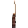 Akustinė gitara Cascha Stage Series CGA200, natūrali