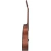 Akustinė gitara Cascha Student Dreadnought CGA110