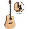 Akustinė gitara Cascha Student Dreadnought CGA110