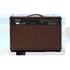 Akustinės gitaros stiprintuvas Marshall AS50DV
