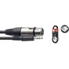 Stagg 3,5 mm miniJack TRS kabelis - XLR/f 3m